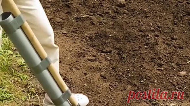 Простые идеи для вашего сада