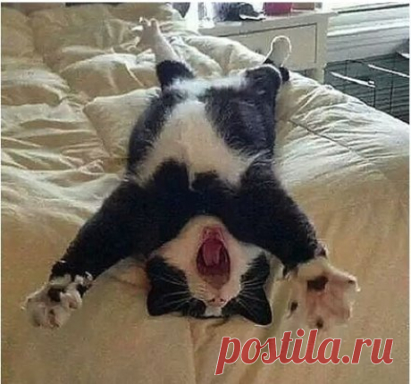 — Ты ведёшь неправильный образ жизни!
— Ой, только не надо мне завидовать!