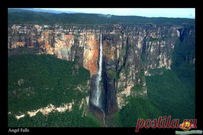 Высочайшим в мире является водопад Анхель "Прыжок Ангела"(1054 м!) в бассейне р. Ориноко в Южной Америке на территории Венесуэлы. Его открыл сравнительно недавно (1935 г.) венесуэльский летчик Хуан Анхель и только спустя 14 лет 5 геодезистов с большим трудом смогли определить высоту этого феноменального чуда природы. Расположен, пожалуй, в самом труднодоступном уголке земли, а подступы к отвесной стене водопада перекрывает сельва - дремучий тропический лес с лианами и кустарниковыми за