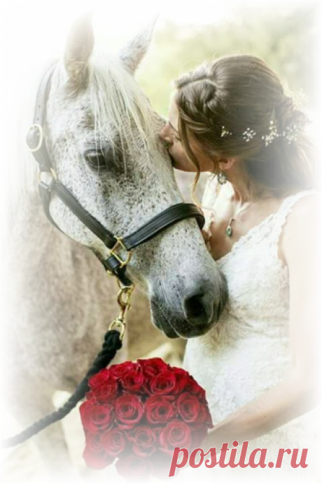 el verdadero amor no es posesion es apreciacion - Buscar con Google