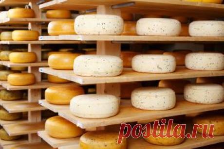 Как научиться разбираться в сырах...
А вы знали, что сыр появился раньше письменности? И с тех пор миллионы людей по всему миру не могут представить без него свою жизнь.
Но, к сожалению, не все знают, как отличить сыры друг от друга, с …