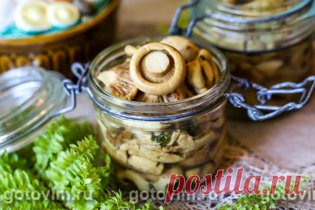 Грузди соленые горячим способом . Рецепт с фото Грузди соленые горячим способом готовить легко и просто. Надо только не полениться предварительно обработать грибы, т.е. очистить от листьев и травинок, вымочить в холодной воде, чтобы ушла горечь, а затем отварить. После этого грузди просто укладывают в банку или другую подходящую посуду, пересыпая солью и пряными травами, и ждут, когда грибы окончательно просолятся.
