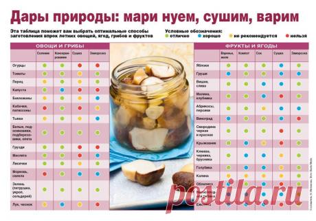 сообщение О_Самом_Интересном : Много полезных кулинарных шпаргалок (07:17 20-04-2016) [4675714/389147335] - lyudmila_klimenko_61@mail.ru - Почта Mail.Ru