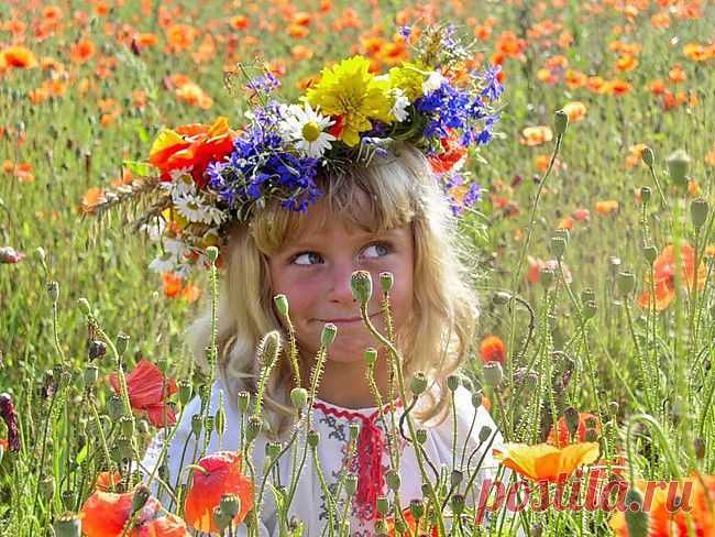 Одноклассники