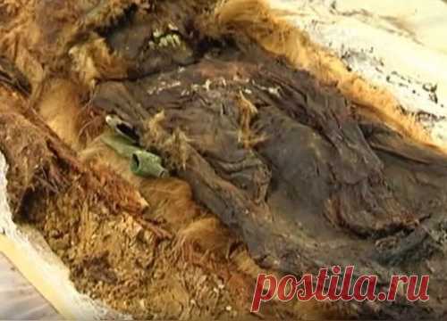 Мумия сибирского мальчика раскроет секреты жизни древних племен