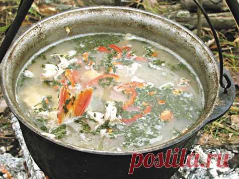 Казацкие секреты приготовления ухи
