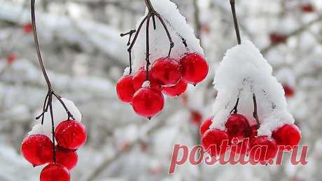 Новые фотографии природа зима.