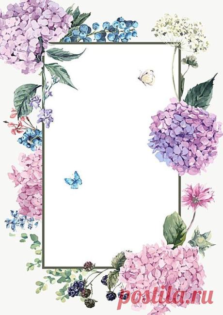 (24) Pinterest