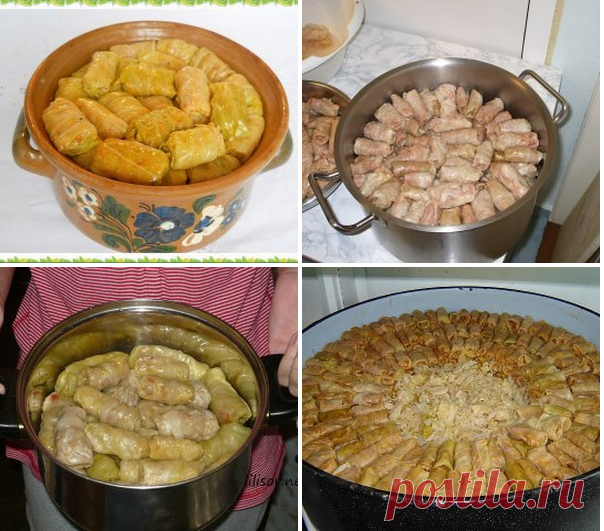 Bon Appétit: ●10 самых вкусных рецептов голубцов - обязательно сохраните!●