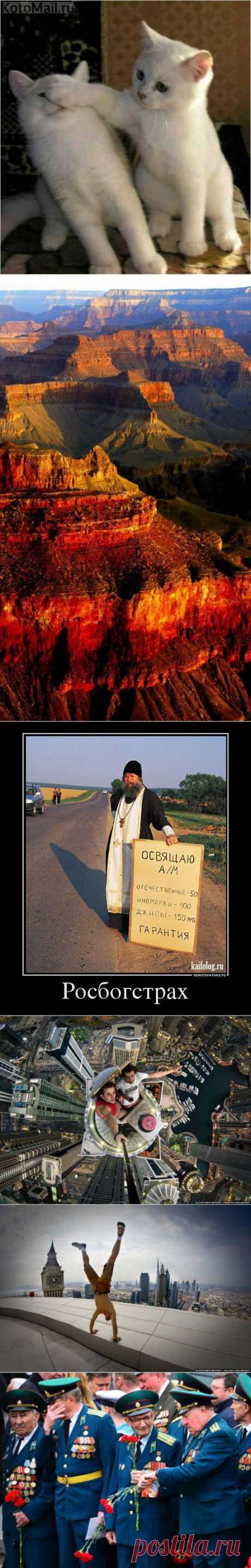 Сергей Болотный: доски | Постила