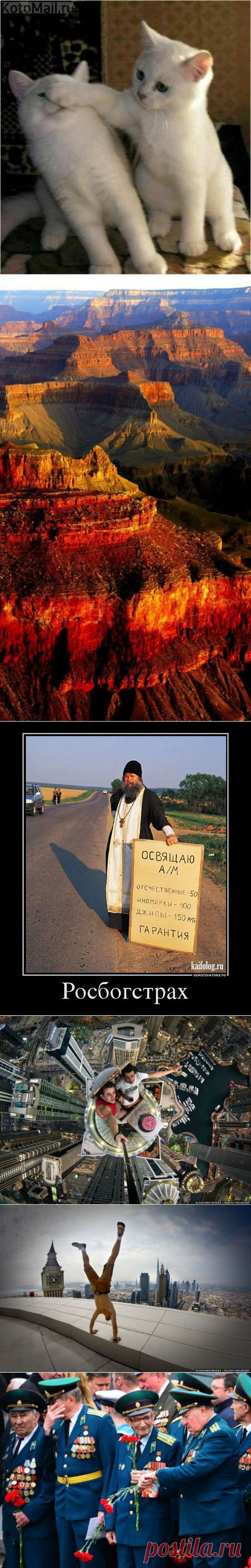 Сергей Болотный: доски | Постила