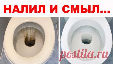 Унитаз, как зеркало: как очистить унитаз без химии! | Марина Жукова, Домохозяйка, Эксперт, Блогер | Дзен