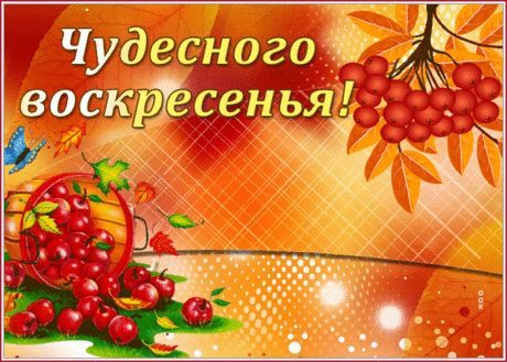 Открытка чудесного воскресенья с рябиной