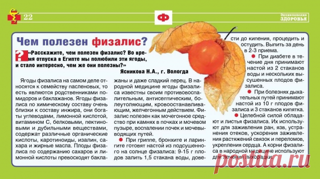 Физалис - чем полезен