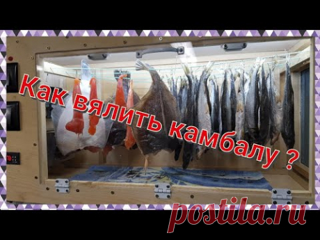 Как солить и вялить камбалу ?
