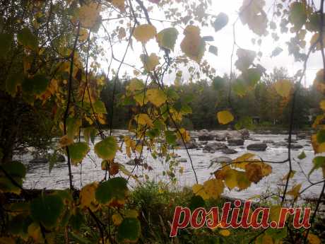 осень...