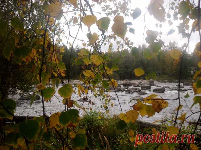 осень...