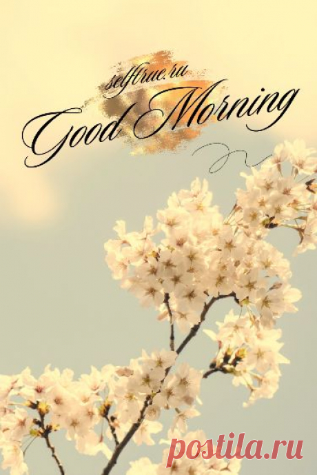 Оформление сторис. Идеи stories Good morning Фон для текста в Инстаграм | Красивый Stories фон Background. Оформление сторис доброе утро | Instagram Story Good morning | Идеи и фоны для сторис Инстаграм. Оригинальные обои для сторис и оформления Инстаграм. Оформление сториз Instagram доброе утро. Оригинальные фоны для текстов Инстаграм. #инстаграм_идеи #доброе_утро #фоны_сторис #сторис #инстаграм_идеи #сторис_инстаграм #оформление_сторис