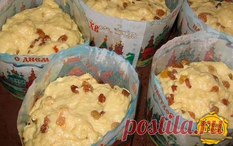 Совершенно потрясающие куличи! Сладкие, нежные, мягкие... 
Рецепт бабушкин, готовит она по этому рецепту уже  десятков лет.

С порции получается очень много куличей, смело делите количество на 2, 3, 4... 

 1 л. топленого молока;
1 кг. сахара;
500 гр. слив. масла;
10 яиц;
3 желтка;
150 гр. свежих дрожжей.
Яйца слегка взбить, масло порезать кусочками, смешать все продукты с теплым молоком и оставить в теплом месте на 8-12 часов (смело оставляйте на ночь).