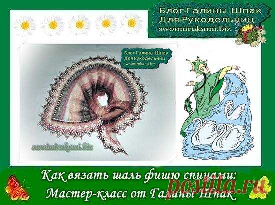 Как вязать шаль фишю спицами: мастер-класс от Галины Шпак | |