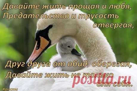 жизнь