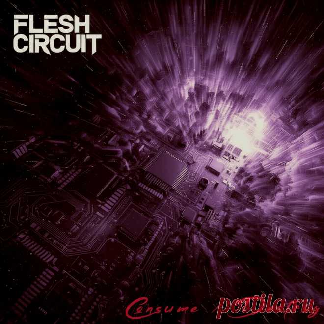 Flesh Circuit - Consume / Destroy (Demo) (2025) 320kbps / FLAC