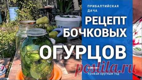 ЛУЧШИЙ РЕЦЕПТ! БОЧКОВЫЕ (СОЛЁНЫЕ) ОГУРЦЫ!