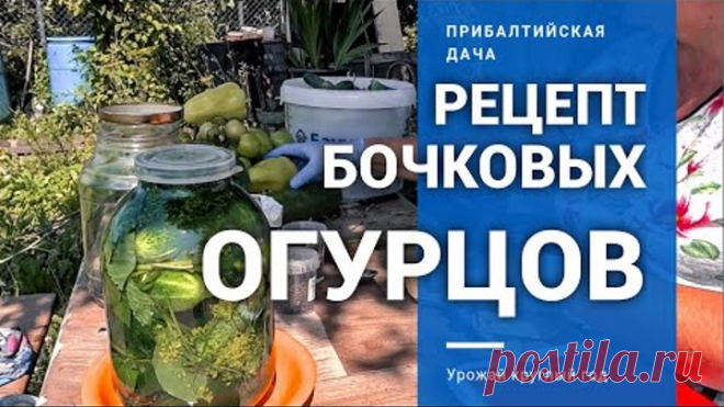 ЛУЧШИЙ РЕЦЕПТ! БОЧКОВЫЕ (СОЛЁНЫЕ) ОГУРЦЫ!