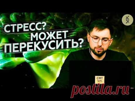 Причины ПЕРЕЕДАНИЯ. Кто ВИНОВАТ?