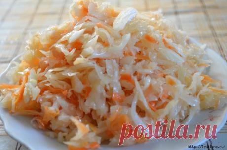 Моментальная квашеная капуста в банке