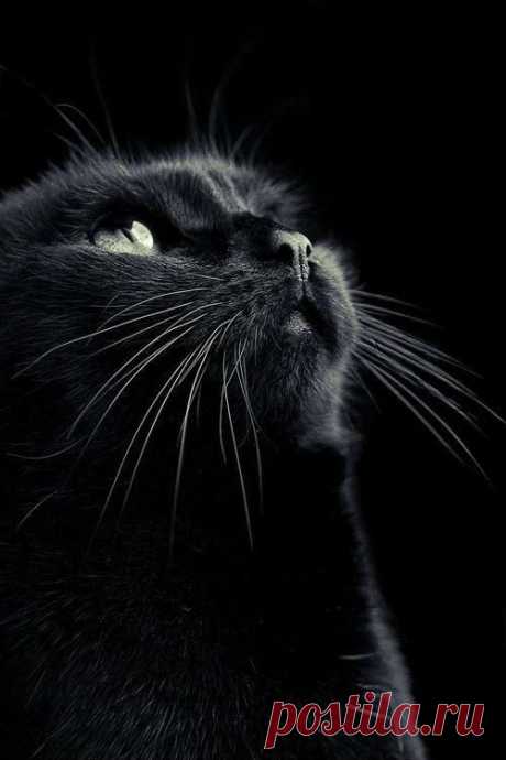 (9) Pinterest