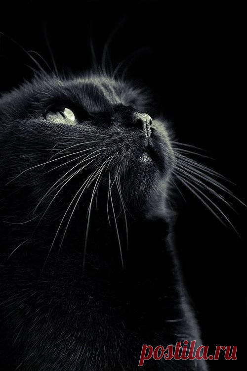 (9) Pinterest