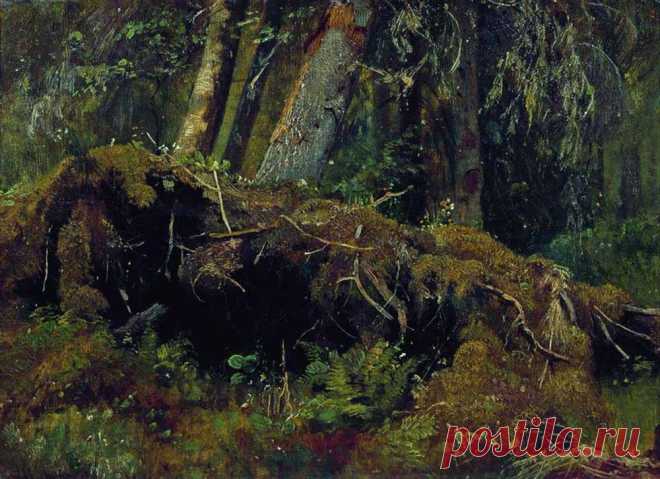 Иван Иванович Шишкин - великий русский пейзажист.
1832 - 1898.