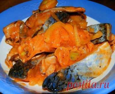 25 вкуснейших рецептов из рыбы