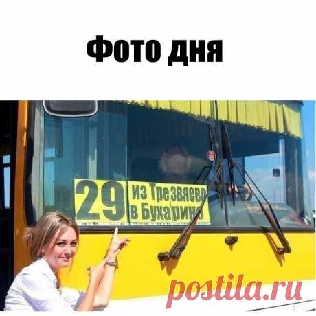 Без комментария