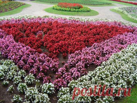 jardins no rio grande do sul - Pesquisa Google