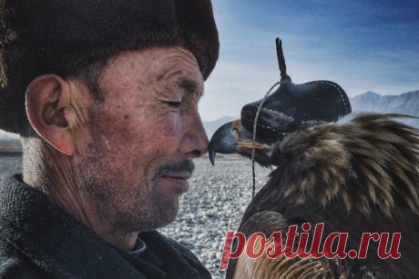 Лучшие снимки iPhone Photography Awards 2016: