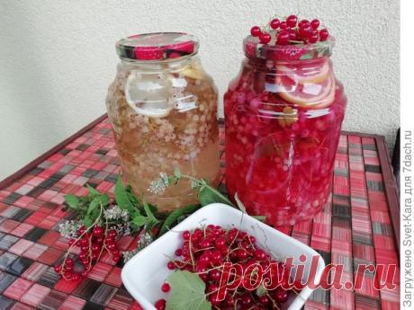 Компот из смородины с лимоном и мятой на зиму. Пошаговый рецепт с фото