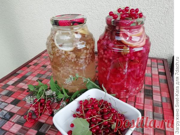 Компот из смородины с лимоном и мятой на зиму. Пошаговый рецепт с фото