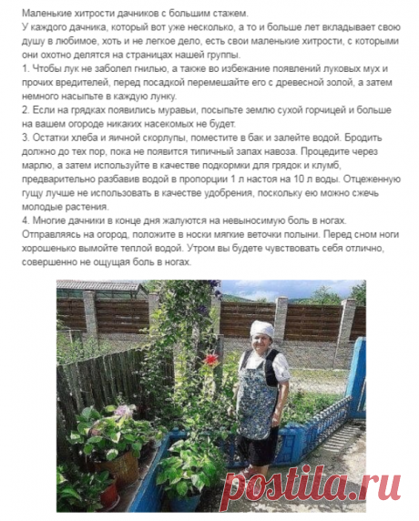 (1) Одноклассники
