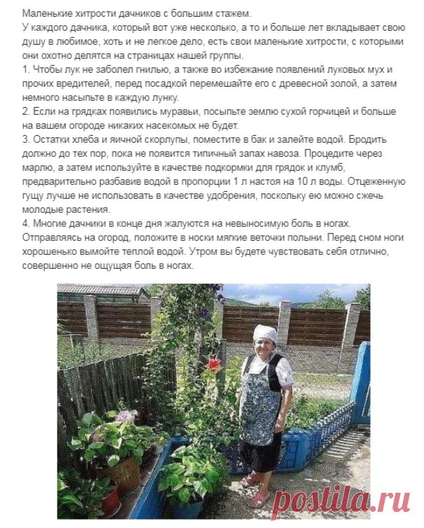 (1) Одноклассники
