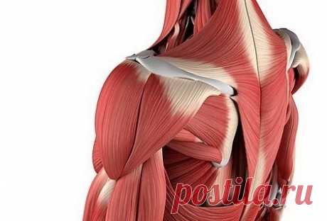 Почему болят мышцы после долгого перерыва?