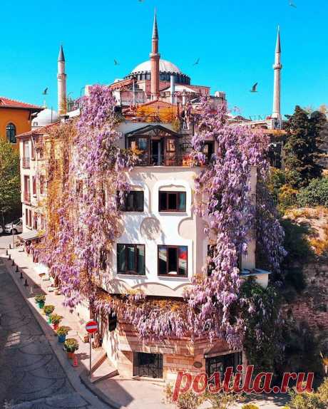 (13) Beautiful World
Яркие краски Стамбула