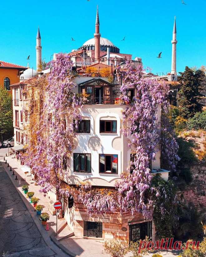 (13) Beautiful World
Яркие краски Стамбула