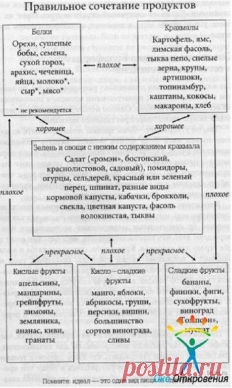Инфографика для желающих похудеть