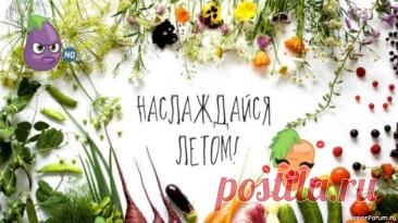Готовим освежающий гаспачо по‑летнему&amp;raquo;
