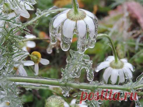 Сотворить такое может только природа!!!Чудо!!!