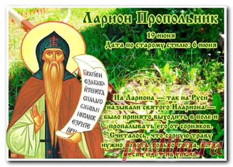С Днем святого Лариона!
Мира, счастья и добра!
От души тебе желаю
Я здоровья и тепла.