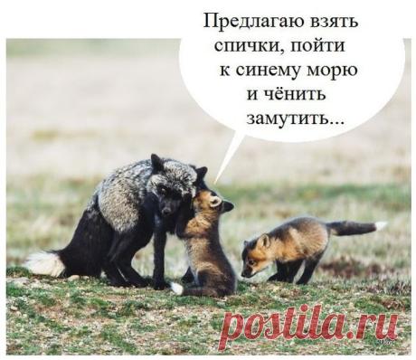 Смешные картинки со смыслом (30 фото) ⭐ Забавник
