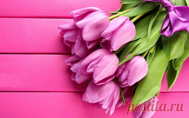 gorgeous-pink-tulips-2K-wallpaper.jpg (3840×2400)